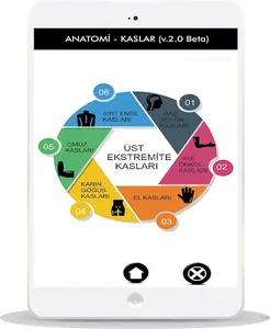 ANATOMİ KAS SİSTEMİ screenshot 7