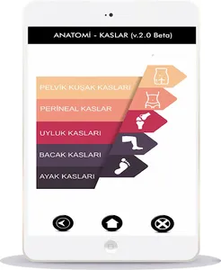 ANATOMİ KAS SİSTEMİ screenshot 8