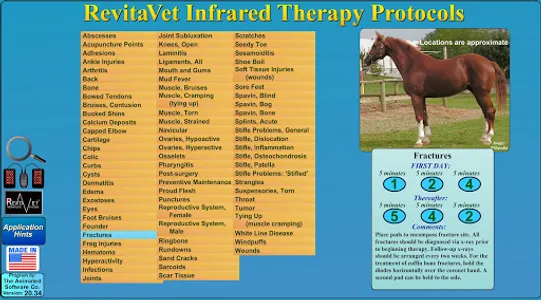 RevitaVet Therapeutic Systems: screenshot 2