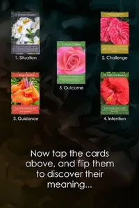 Floramations Oracle Cards screenshot 16