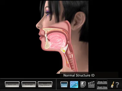 Swallowing Oral screenshot 0