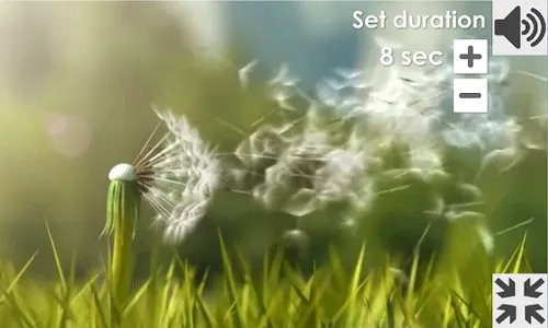 Dandelion (PLB exercise) screenshot 0