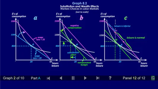 Duke Micro Econ Chapter 8 screenshot 0