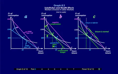 Duke Micro Econ Chapter 8 screenshot 1