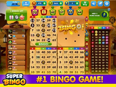 Super Bingo HD - Bingo Games screenshot 13