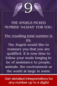 Angel Number Signs screenshot 12