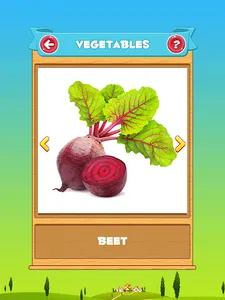 Learn Fruits and Vegetables screenshot 17