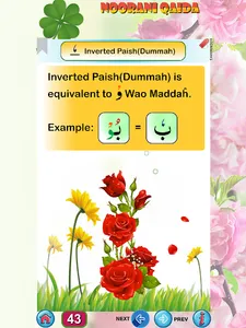 Noorani Qaida in English screenshot 22