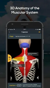 Yoga by Muscle & Motion screenshot 13