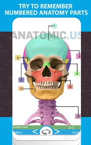 Anatomy Cards Anatomicus screenshot 11