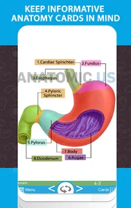 Anatomy Cards Anatomicus screenshot 12