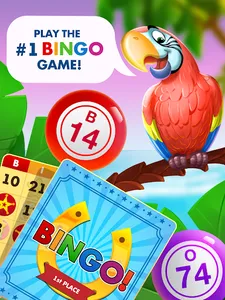 Bingo Country Days: Live Bingo screenshot 10