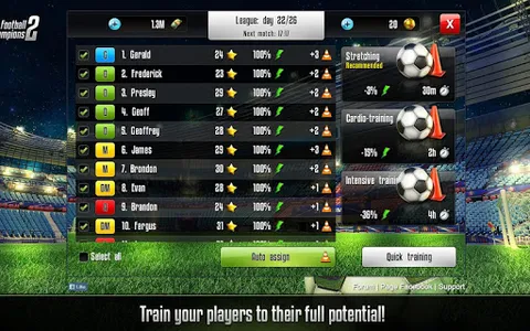 Football Champions screenshot 13