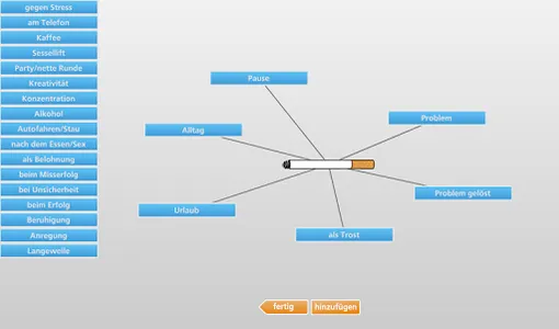 Nichtraucher in 5 h - Seminar screenshot 2