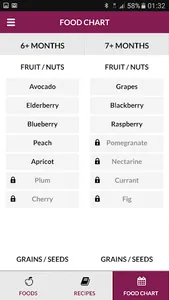 Baby Food Chart screenshot 5