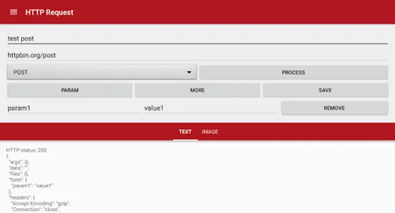 HTTP request screenshot 7