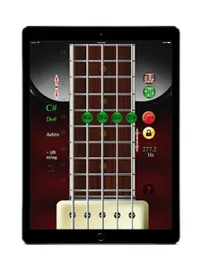 Bass Guitar Simulator screenshot 11