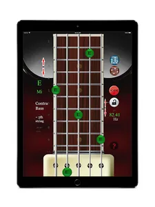 Bass Guitar Simulator screenshot 15