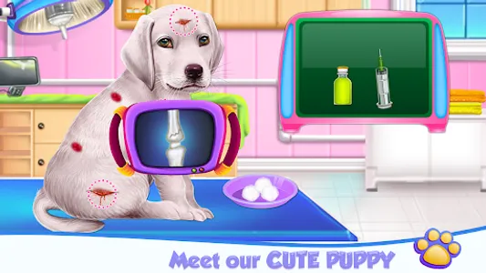 Labrador Puppy Day Care screenshot 2