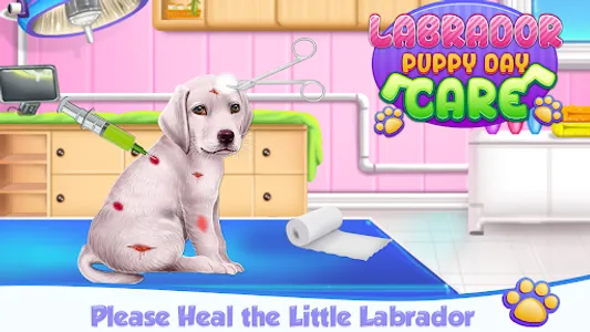 Labrador Puppy Day Care screenshot 7