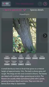 Foundation Depth Calculator + screenshot 3