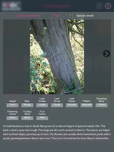 Foundation Depth Calculator + screenshot 8