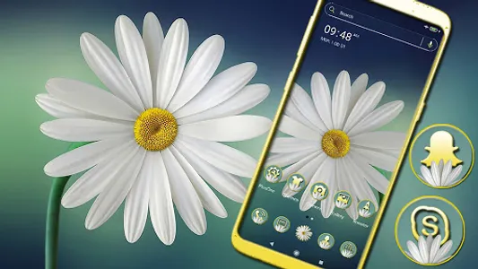 White Gerbera Daisy Theme screenshot 0
