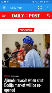 Nigeria Newspapers screenshot 5