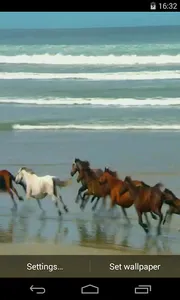 Amazing horses Video LWP screenshot 0
