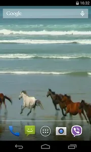 Amazing horses Video LWP screenshot 1