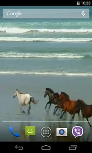 Amazing horses Video LWP screenshot 2