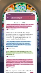 Amplified Bible offline audio screenshot 0