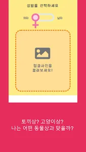 얼굴형 테스트 - 동물상 AI screenshot 2