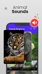 Animal Ringtones & wallpapers screenshot 16