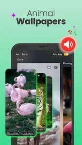 Animal Ringtones & wallpapers screenshot 2