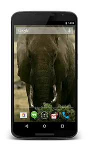 Animals of Africa LWP screenshot 0