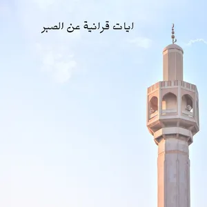 ايات قرانية عن الصبر screenshot 1