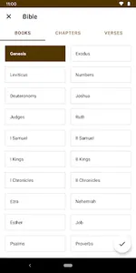 Bible in English + Audio screenshot 2