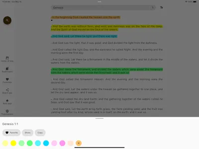 Bible in English + Audio screenshot 5