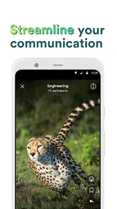 Camillion - team messenger screenshot 0