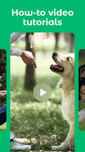 Dogo — Puppy and Dog Training screenshot 4