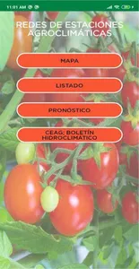 FGP Móvil screenshot 1