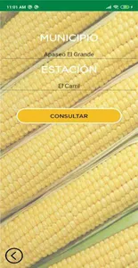 FGP Móvil screenshot 3