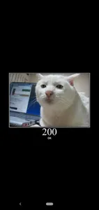 HttpCat screenshot 0