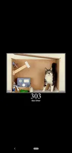 HttpCat screenshot 2