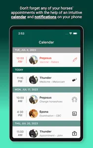 Horsefy: Horses and riding screenshot 18