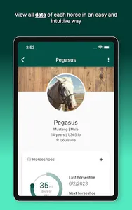 Horsefy: Horses and riding screenshot 9