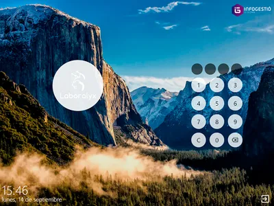 Laboralyx Mostrador screenshot 0