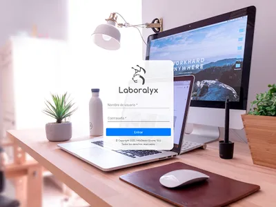 Laboralyx Mostrador screenshot 4