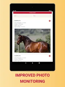 PRE StudBook app screenshot 14